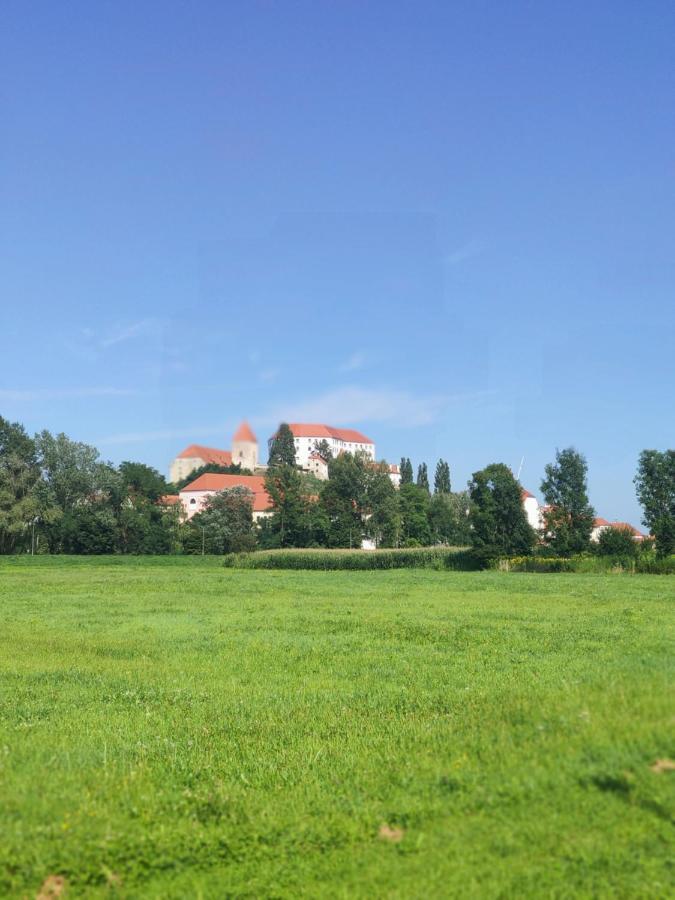 Studio Apartment "Iris" Ptuj Bagian luar foto