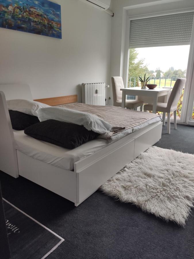 Studio Apartment "Iris" Ptuj Bagian luar foto